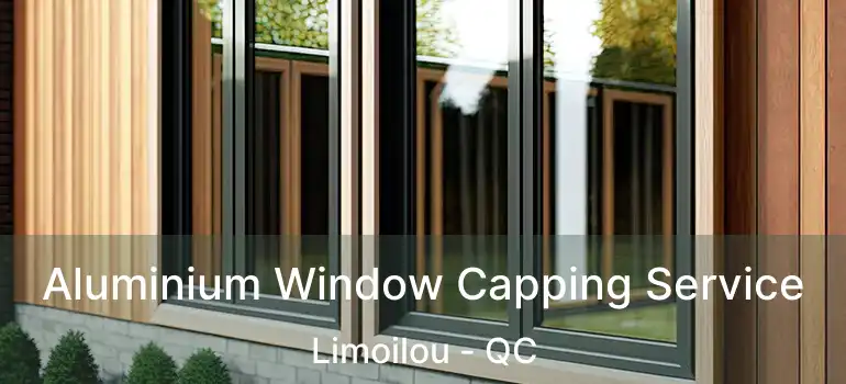  Aluminium Window Capping Service Limoilou - QC