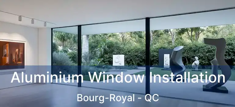  Aluminium Window Installation Bourg-Royal - QC