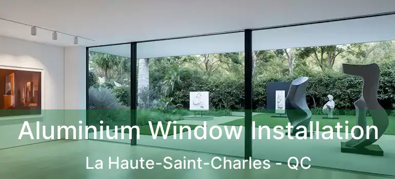  Aluminium Window Installation La Haute-Saint-Charles - QC