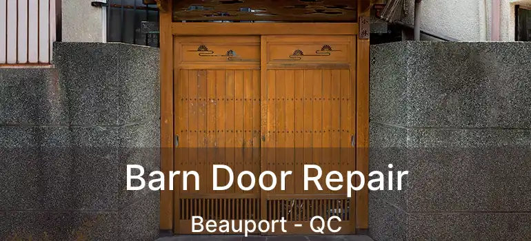  Barn Door Repair Beauport - QC