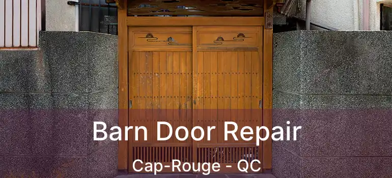 Barn Door Repair Cap-Rouge - QC