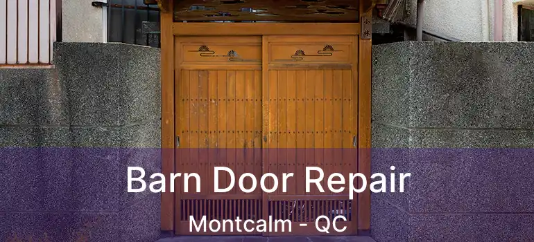  Barn Door Repair Montcalm - QC