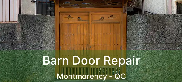  Barn Door Repair Montmorency - QC