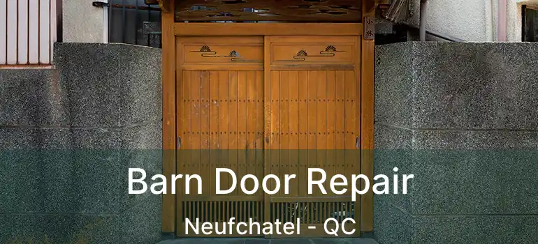  Barn Door Repair Neufchatel - QC