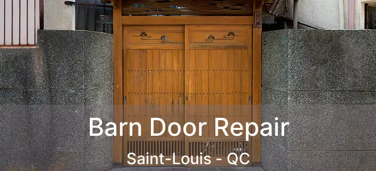  Barn Door Repair Saint-Louis - QC