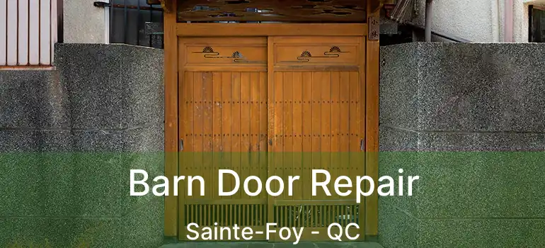 Barn Door Repair Sainte-Foy - QC