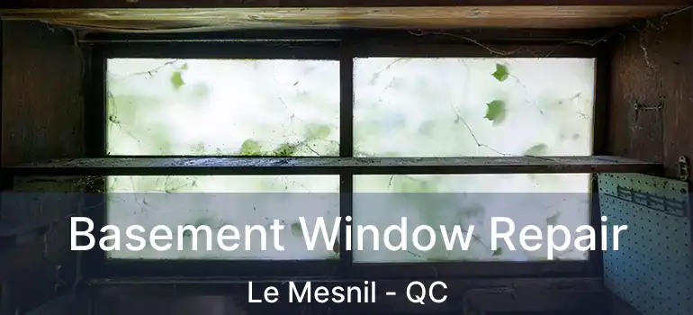  Basement Window Repair Le Mesnil - QC