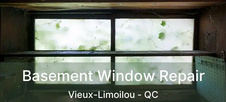  Basement Window Repair Vieux-Limoilou - QC