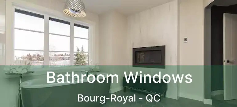  Bathroom Windows Bourg-Royal - QC