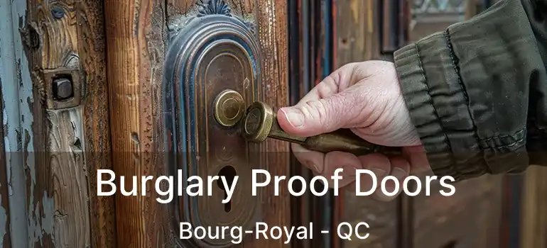  Burglary Proof Doors Bourg-Royal - QC