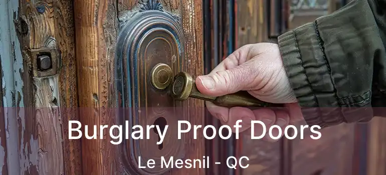  Burglary Proof Doors Le Mesnil - QC