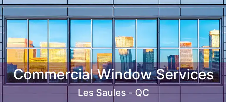  Commercial Window Services Les Saules - QC
