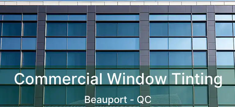  Commercial Window Tinting Beauport - QC