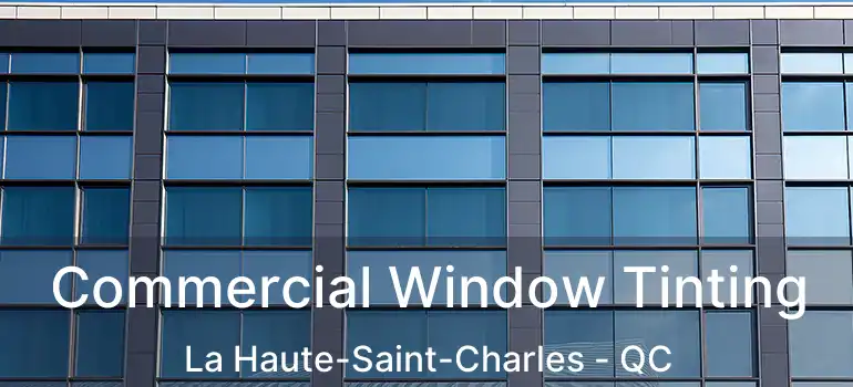  Commercial Window Tinting La Haute-Saint-Charles - QC