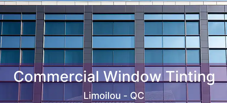 Commercial Window Tinting Limoilou - QC