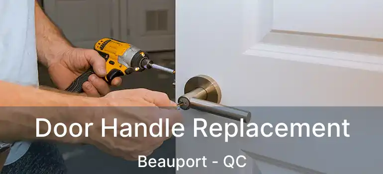  Door Handle Replacement Beauport - QC