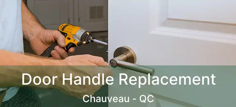  Door Handle Replacement Chauveau - QC