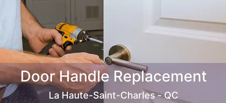  Door Handle Replacement La Haute-Saint-Charles - QC