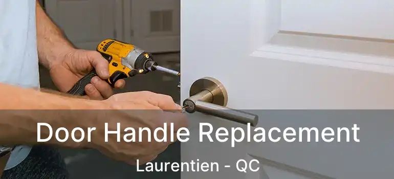  Door Handle Replacement Laurentien - QC