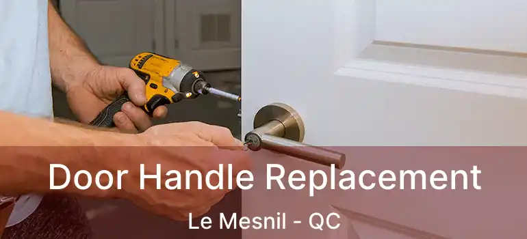  Door Handle Replacement Le Mesnil - QC