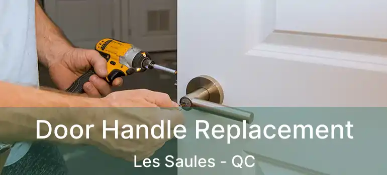 Door Handle Replacement Les Saules - QC