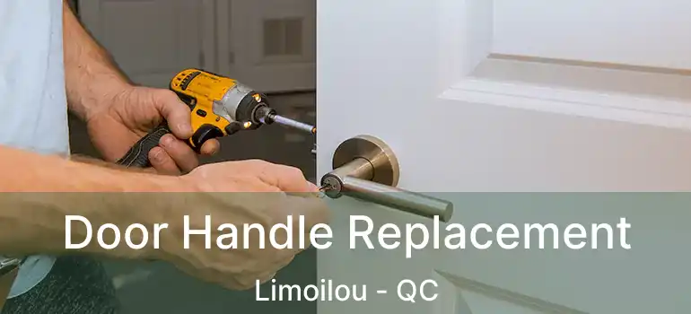 Door Handle Replacement Limoilou - QC