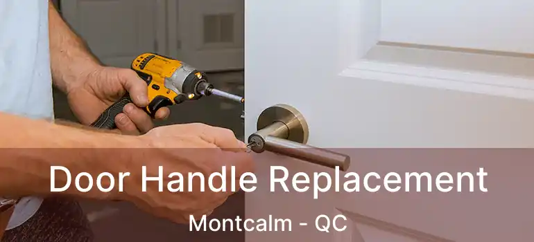  Door Handle Replacement Montcalm - QC