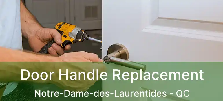  Door Handle Replacement Notre-Dame-des-Laurentides - QC