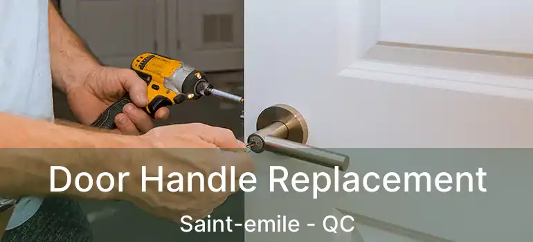  Door Handle Replacement Saint-emile - QC
