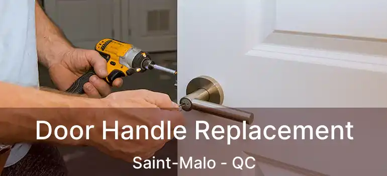  Door Handle Replacement Saint-Malo - QC