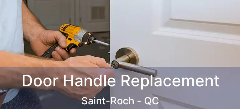  Door Handle Replacement Saint-Roch - QC