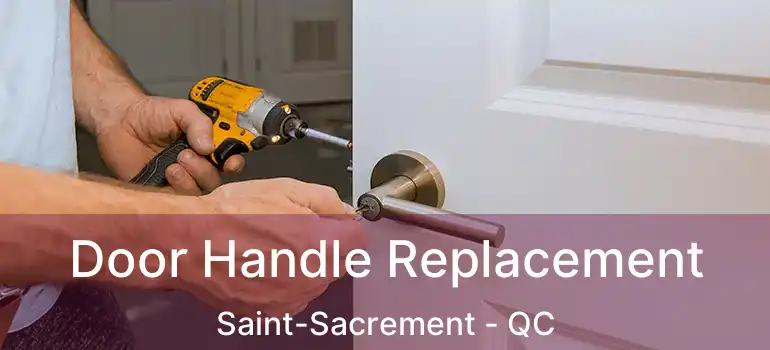  Door Handle Replacement Saint-Sacrement - QC