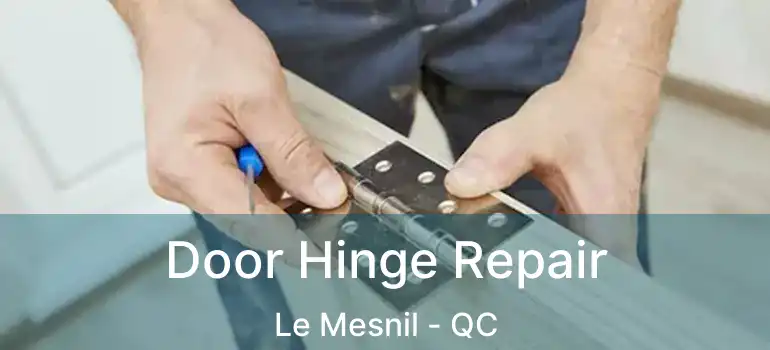  Door Hinge Repair Le Mesnil - QC