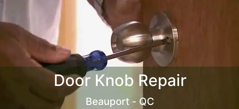  Door Knob Repair Beauport - QC