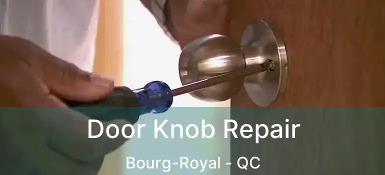  Door Knob Repair Bourg-Royal - QC