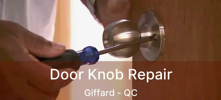  Door Knob Repair Giffard - QC