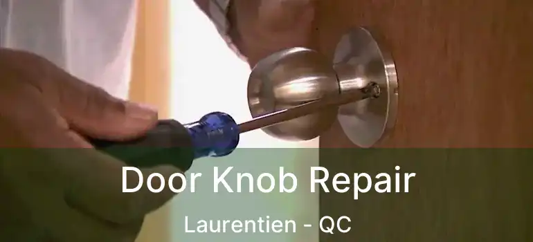  Door Knob Repair Laurentien - QC