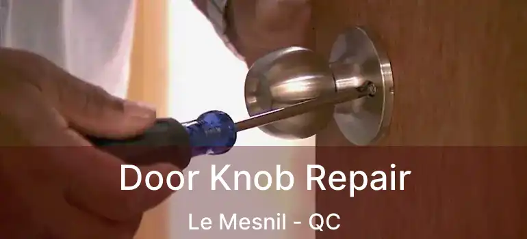 Door Knob Repair Le Mesnil - QC