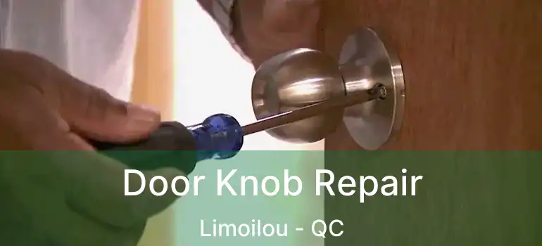  Door Knob Repair Limoilou - QC