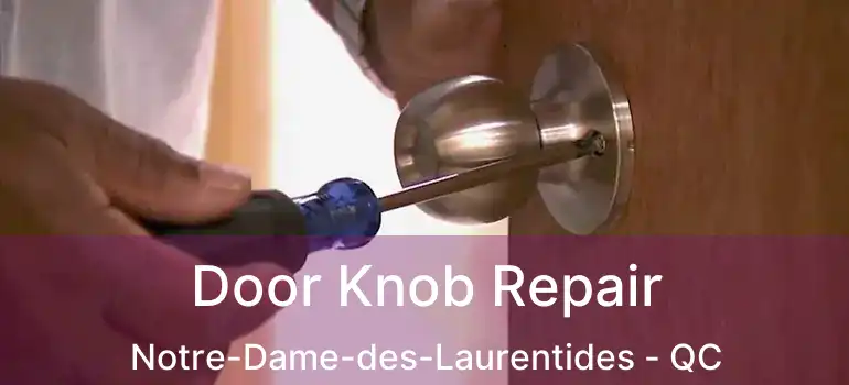  Door Knob Repair Notre-Dame-des-Laurentides - QC