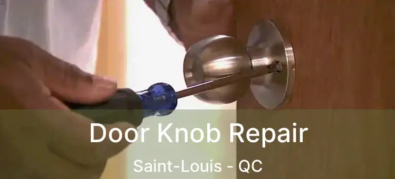  Door Knob Repair Saint-Louis - QC