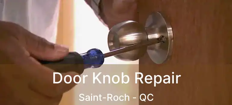  Door Knob Repair Saint-Roch - QC