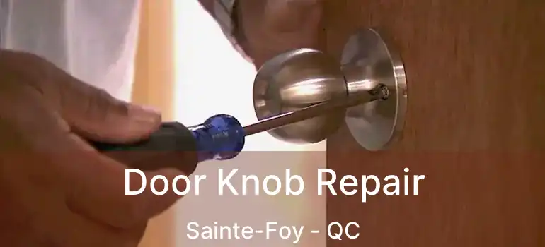  Door Knob Repair Sainte-Foy - QC