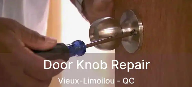  Door Knob Repair Vieux-Limoilou - QC