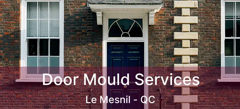  Door Mould Services Le Mesnil - QC