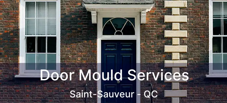  Door Mould Services Saint-Sauveur - QC