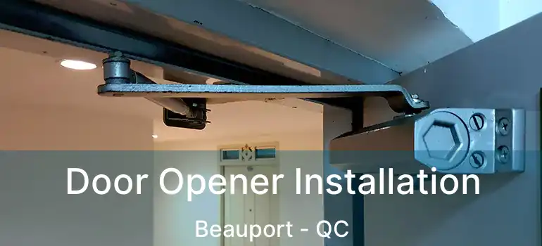  Door Opener Installation Beauport - QC