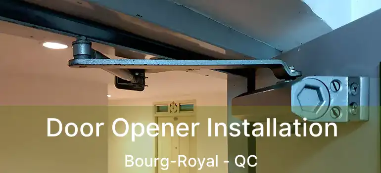  Door Opener Installation Bourg-Royal - QC