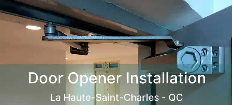  Door Opener Installation La Haute-Saint-Charles - QC