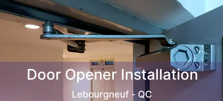  Door Opener Installation Lebourgneuf - QC